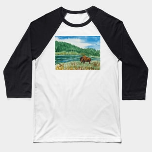 Buffalo at the river in the park Baseball T-Shirt